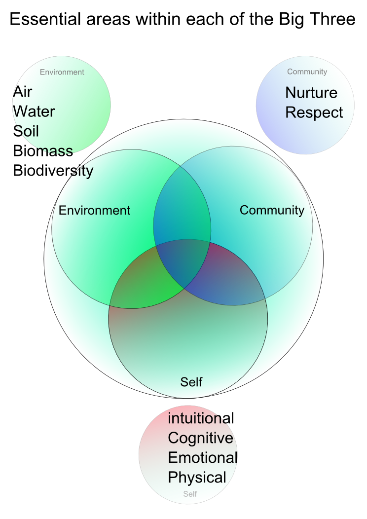 shows the big three perspectives and suggests some essential requirements for each on