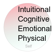four areas are shown in a circle, intuition, cognition, emotion and physical